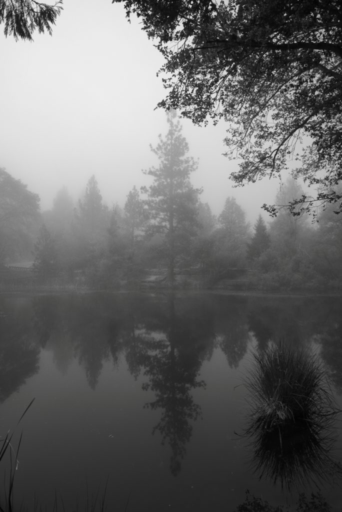 Lake Fulmor in Mist