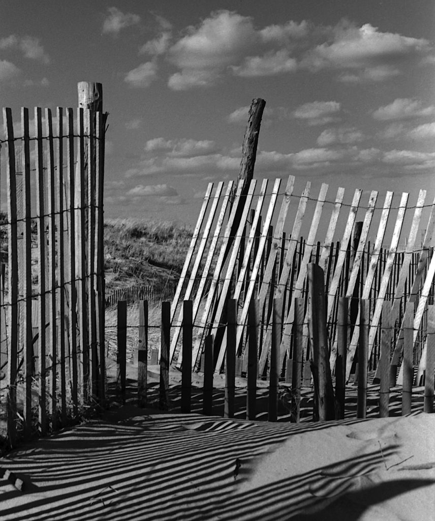 Snow Fence 2