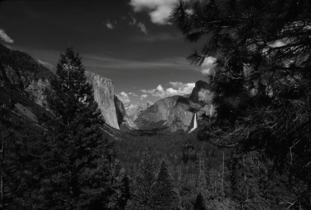 Yosemite Tele View