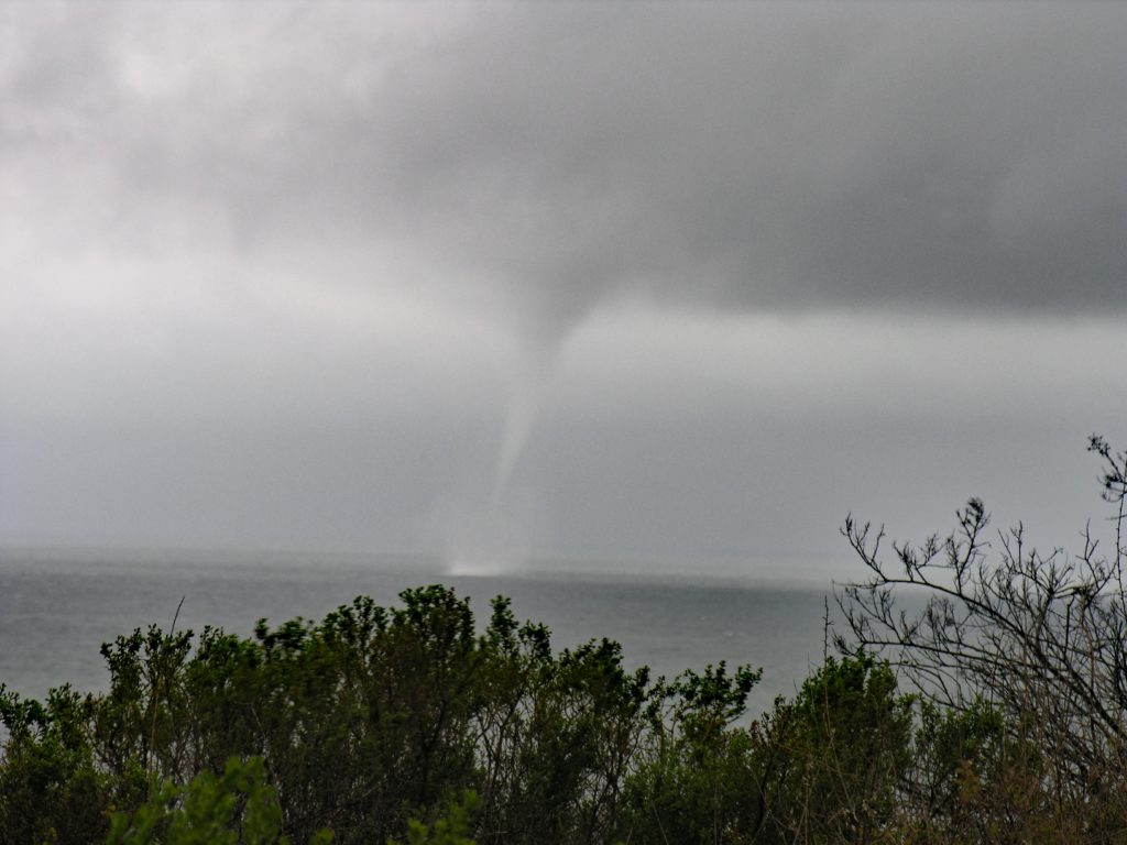 San O Water Spout